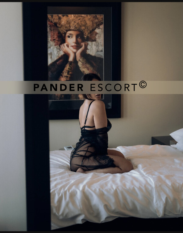 Escort Frankfurt Ava Escort Frankfurt Ava