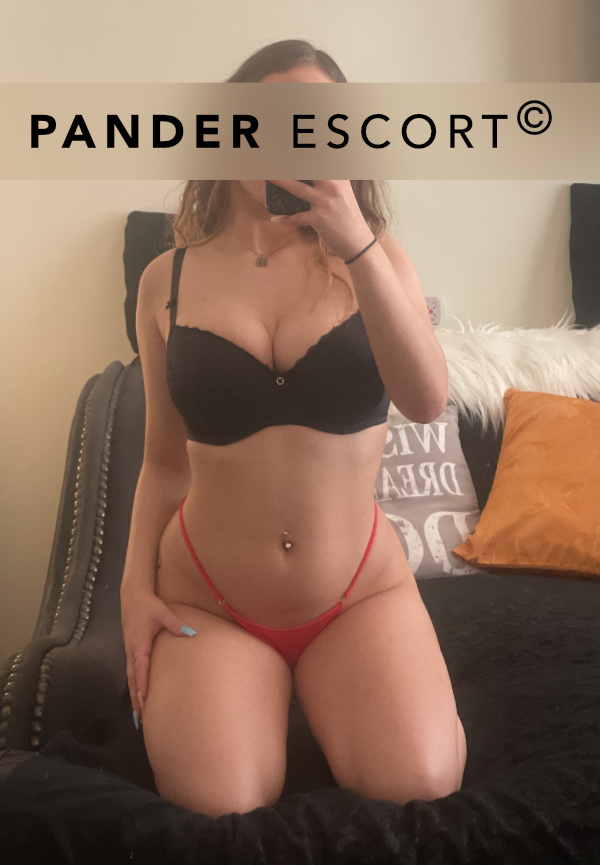 Pander Escort Berlin Pander Escort Berlin
