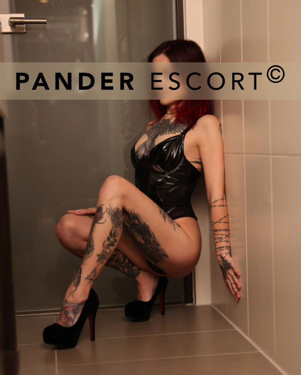 Escort Stuttgart Alex Escort Stuttgart Alex